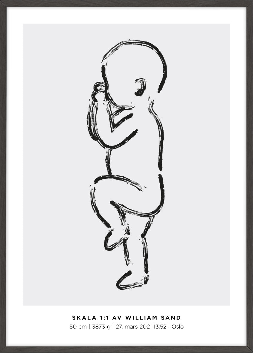 Fødselsplakat - Fødselsplakat