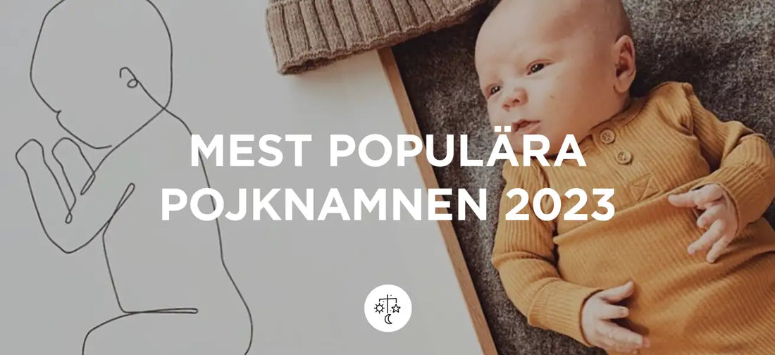 Populära pojknamn 2023